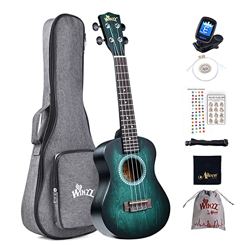 Winzz Ukulélé Concert Débutants Adultes, 23 Pouces Ukulélé Kit Couleur Unique Design (Cyan Foncé)