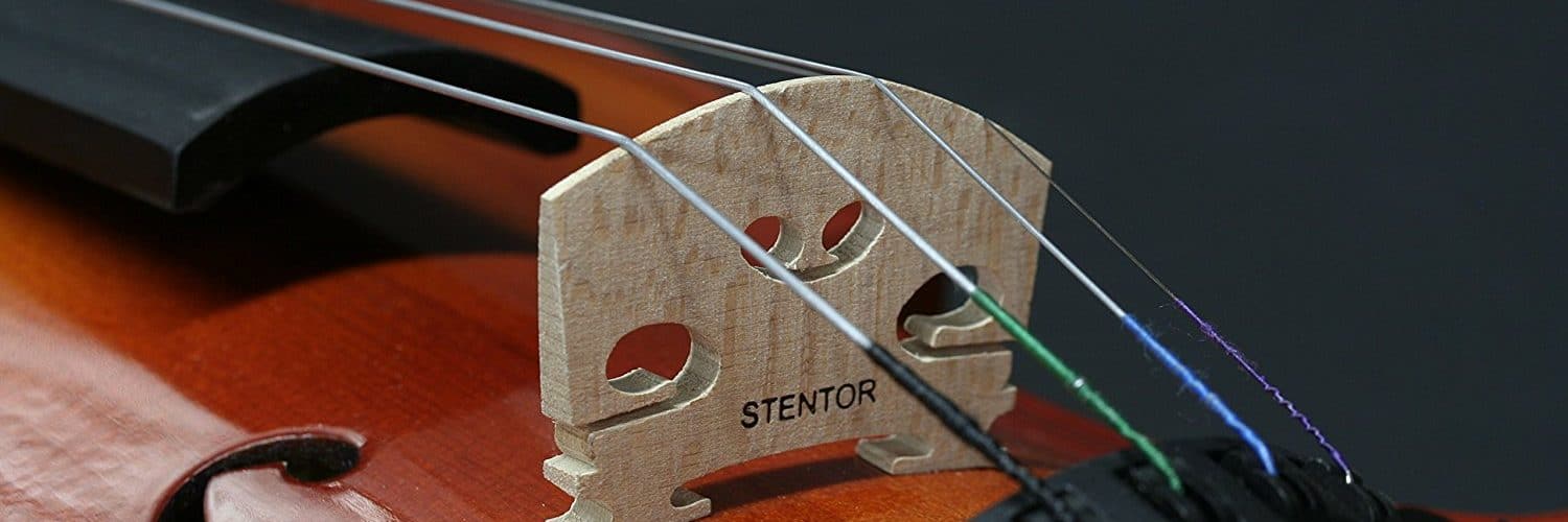 Quelles cordes de violon pour quelle sonorité ?