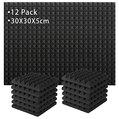 Lot de 12 Panneaux de Mousse Acoustique, Mousse Anti-bruit Panneaux Acoustiques Ignifuges pour Studios D'enregistrement, Bureaux, Studios de Danse, Podcasts 30 x 30 x 5 cm