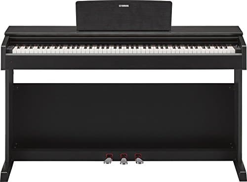 Yamaha - NYDP143 - Piano Numérique - Noir