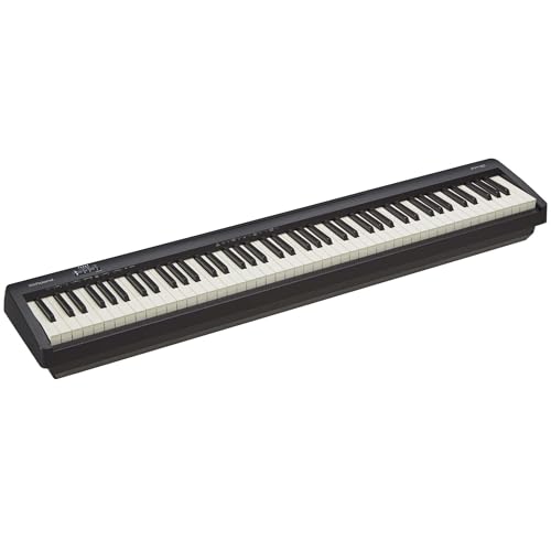 Roland FP-10, Noir